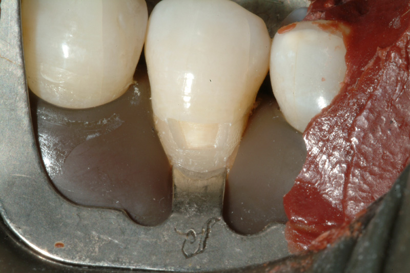 JSDSCF0087